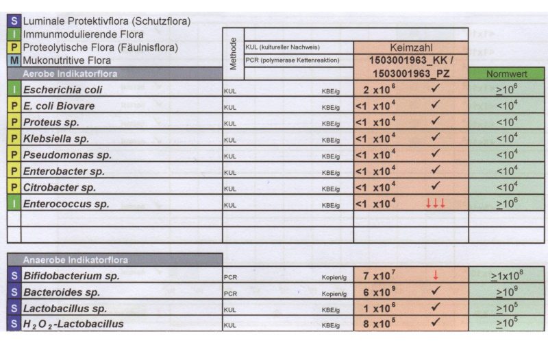Stuhldiagnostik
